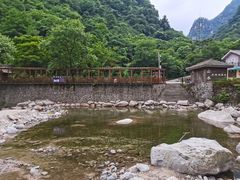 -青峰峡国家森林公园