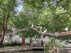-西园戒幢律寺