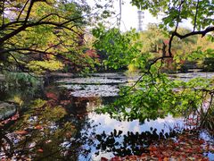 -北海道厅旧本厅舍(旧本庁舎)