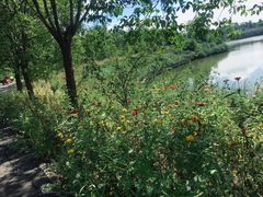 -白鹭湾湿地公园