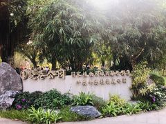 -晓港公园