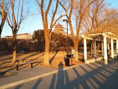 -莲花池公园