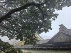 -普陀山慧济禅寺