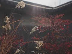 -太白山御龙湾温泉