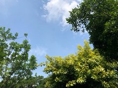 -南宁南湖公园