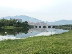 景点-飞来湖湿地公园
