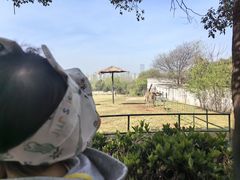 -合肥野生动物园