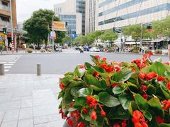 -Peet's Coffee皮爷咖啡(大学路店)