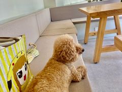 -J Create城市露营咖啡·简餐·宠物(上海动物园店)