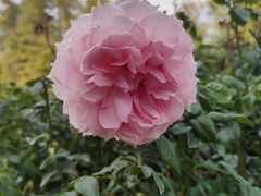 -人民公园(罗湖区)