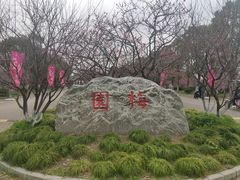 -上海海湾国家森林公园