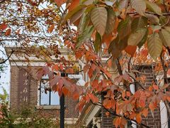 -天津五大道文化旅游区