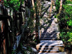 -紫金山天文台