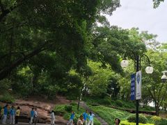 -晓港公园