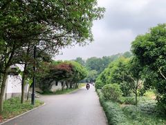 -灵隐飞来峰景区
