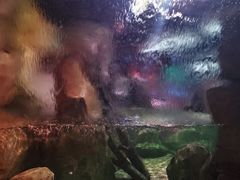 -沈阳海洋探索中心