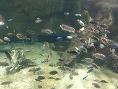 -临沂极地海洋王国