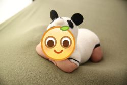 -西瓜庄园儿童摄影