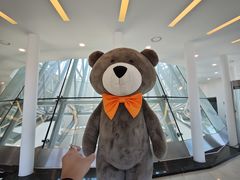 -济州岛泰迪熊博物馆