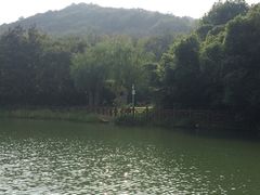 -白马涧龙池景区
