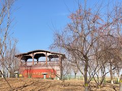 -永定河休闲森林公园