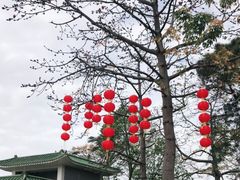 -广州莲花山旅游区
