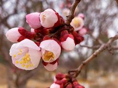 -鹫峰国家森林公园