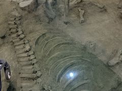 -大庆市博物馆