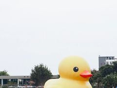 -深圳人才公园