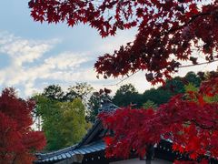 -常寂光寺
