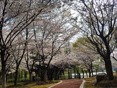 -江南大学(蠡湖校区)