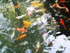 -春风习习