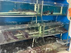 -滇香肴·云南菜蒸汽石锅鱼(云南北路店)
