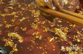 Pork Intestines (Portion)
