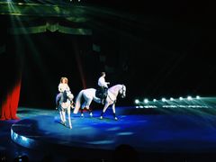 -珠海横琴长隆《卡卡虎奇遇记》