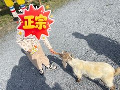 -红山体育乐园