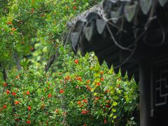 -老门东历史文化街区