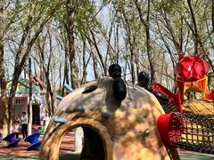 -水上乐园·欢乐世界