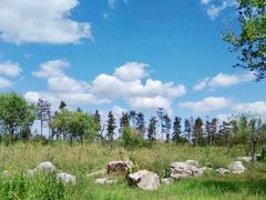 -春花秋色城市公园