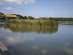 -溱湖国家湿地公园