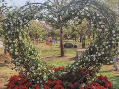 -梅州天地人花园酒店(梅县人民广场店)