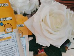 -YOGO优果密室逃脱(新佳丽广场店)