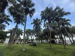 -石炮台公园
