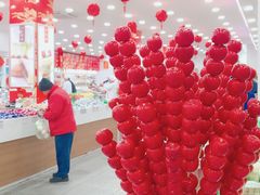 -北京稻香村(第十一店)