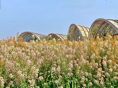 -中国天府农业博览园