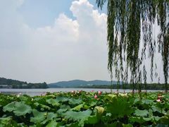 -西湖游船