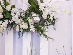 -苏州希尔顿酒店-宴会厅