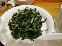 清拌野苦菜-九十九顶毡房(阜石路店)