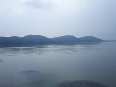 -东湖落雁景区