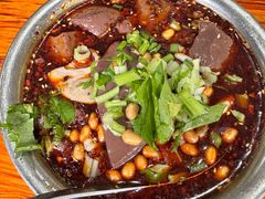 -大邑李记肥肠血旺